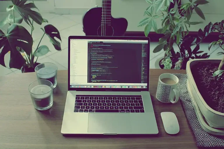 web developers vs web designers