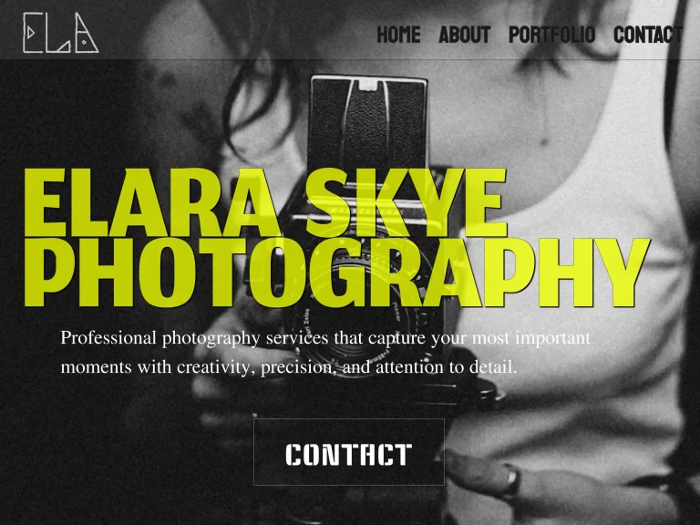 tovotkine web design (2)