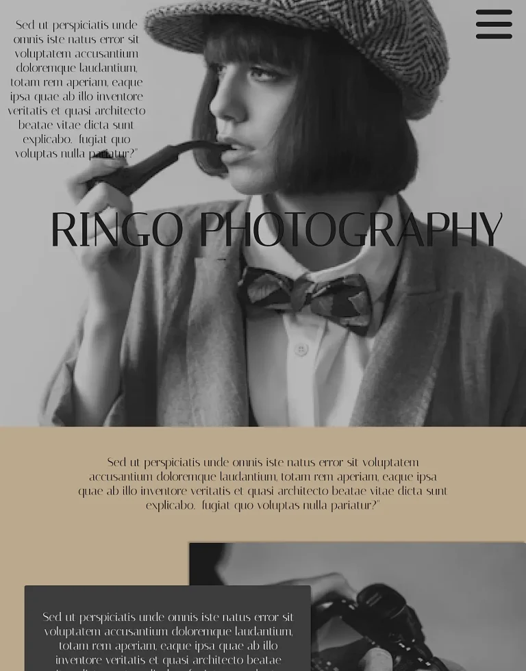 tovotkine web design (5)